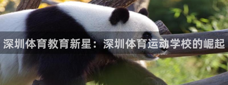 一竞技官网下载是干嘛的公司:深圳体育教育新星:深圳体育运动学