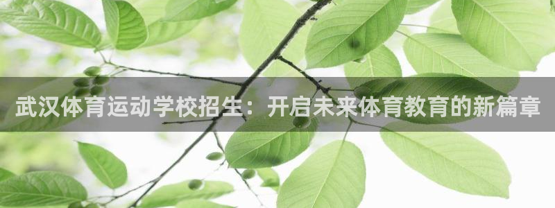 一竞技官方正版app开户:武汉体育运动学校招生:开启未来体育