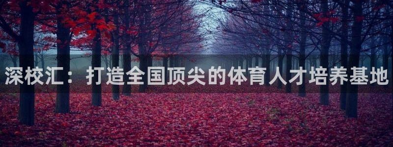 一竞技官方正版app集团官网首页网址:深校汇:打造全国顶尖的