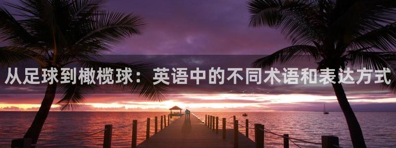 一竞技官方正版app娱乐:从足球到橄榄球:英语中的不同术语和
